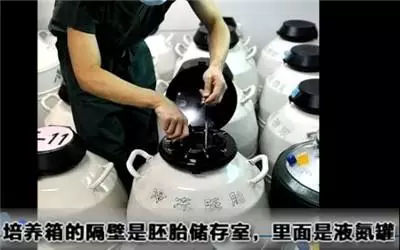 做试管婴儿全过程，看完真的心疼女性一万遍！