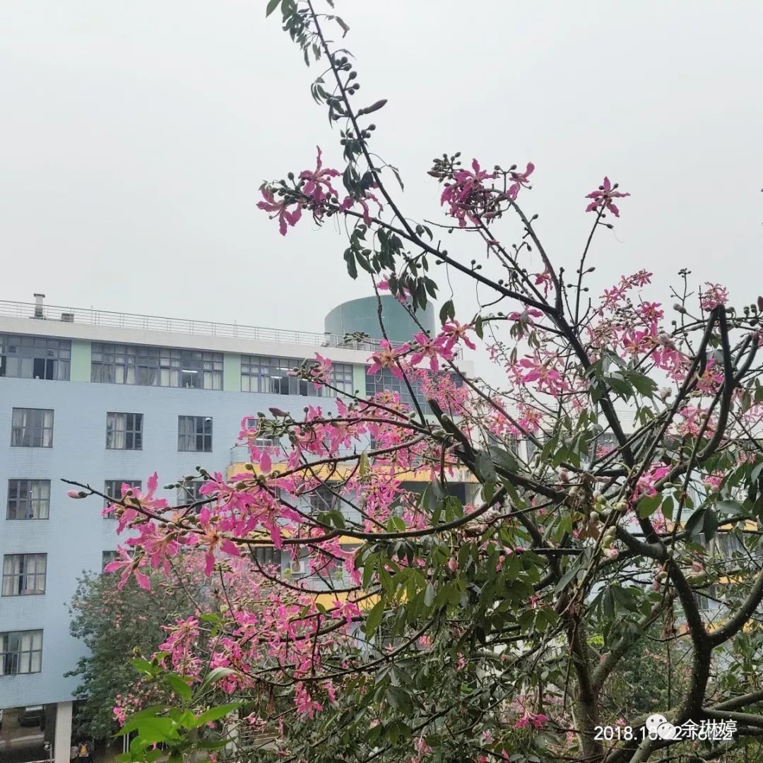 【高考鸡汤向】一路奔跑的你，很迷人