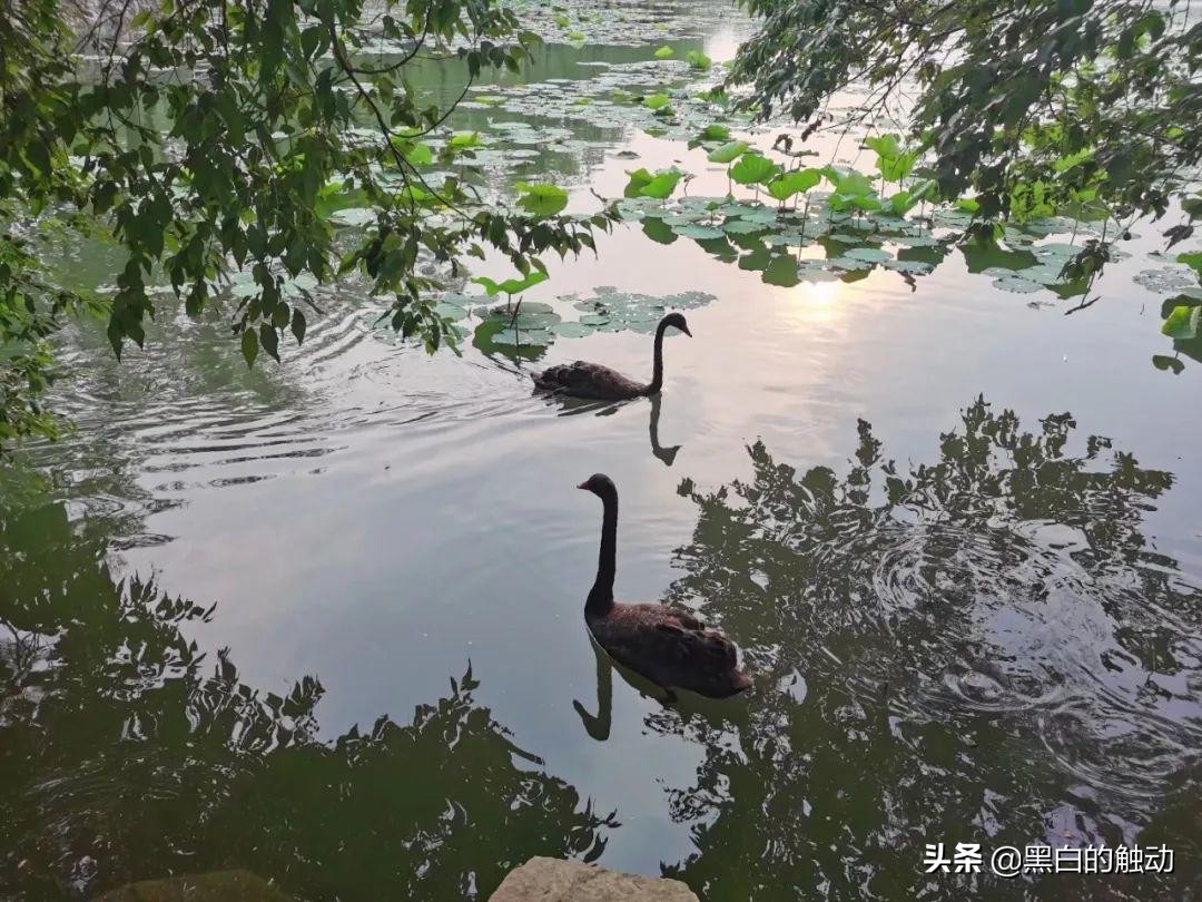 长城、胡同、故宫、鸟巢，北京那些不可错过的名胜古迹