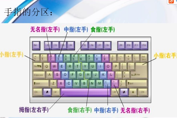 2.4 打字姿势2.4.