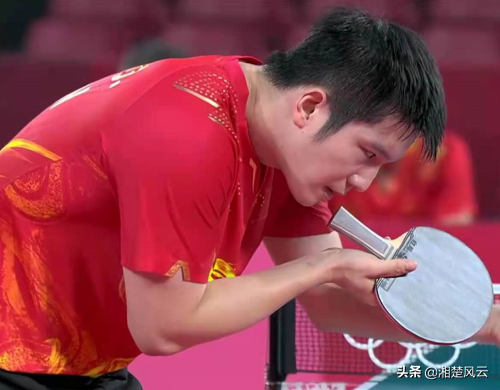 樊振东教练口中的一万米（如何才能嫁给樊振东？王楚钦给出了答案，很容易做到，网友乐了）-趣拿体育