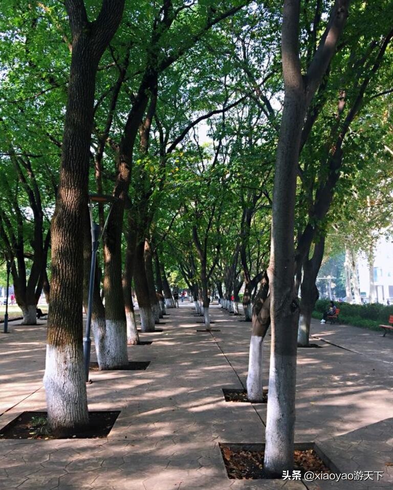 最美大学之旅——华中师范大学