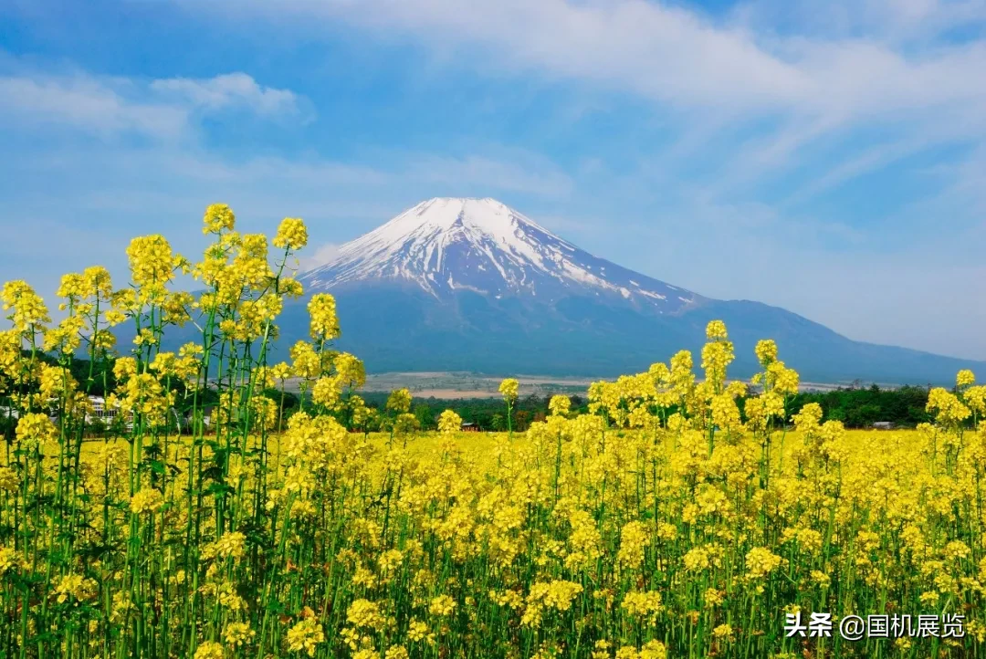 日本280个巅峰科技，让你了解日本高端工业