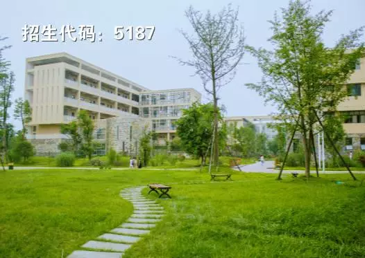四川2020年高职单招“教育与体育”大类院校