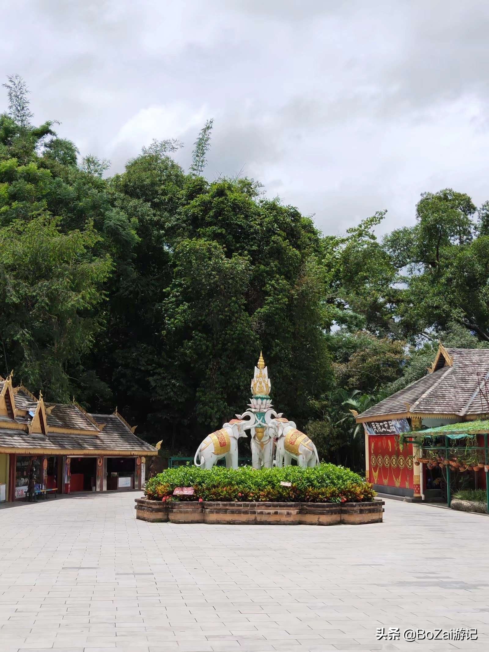 去雲南省西雙版納主要的景點要看哪些雲南西雙版納旅遊必去的景點推薦