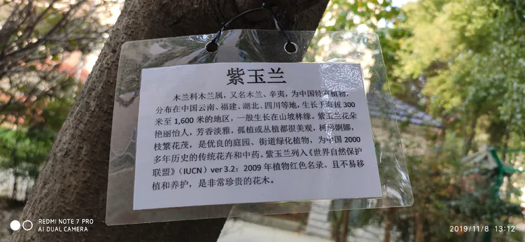 陪你一起看湖北省广水一中①——走进植物王国