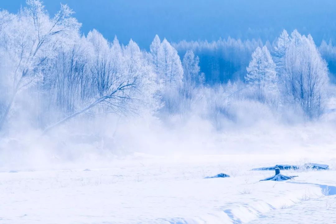 关于下雪的诗句古诗文网，关于下雪的诗句古诗