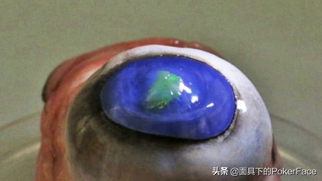 激光的十大神奇应用：东北师范大学在激光全息领域上鹤立鸡群