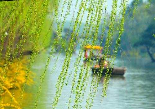 「对联」下联：杨柳青青江水平，请上联