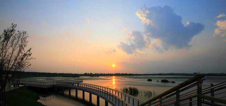 沈阳“沙岭”的来历