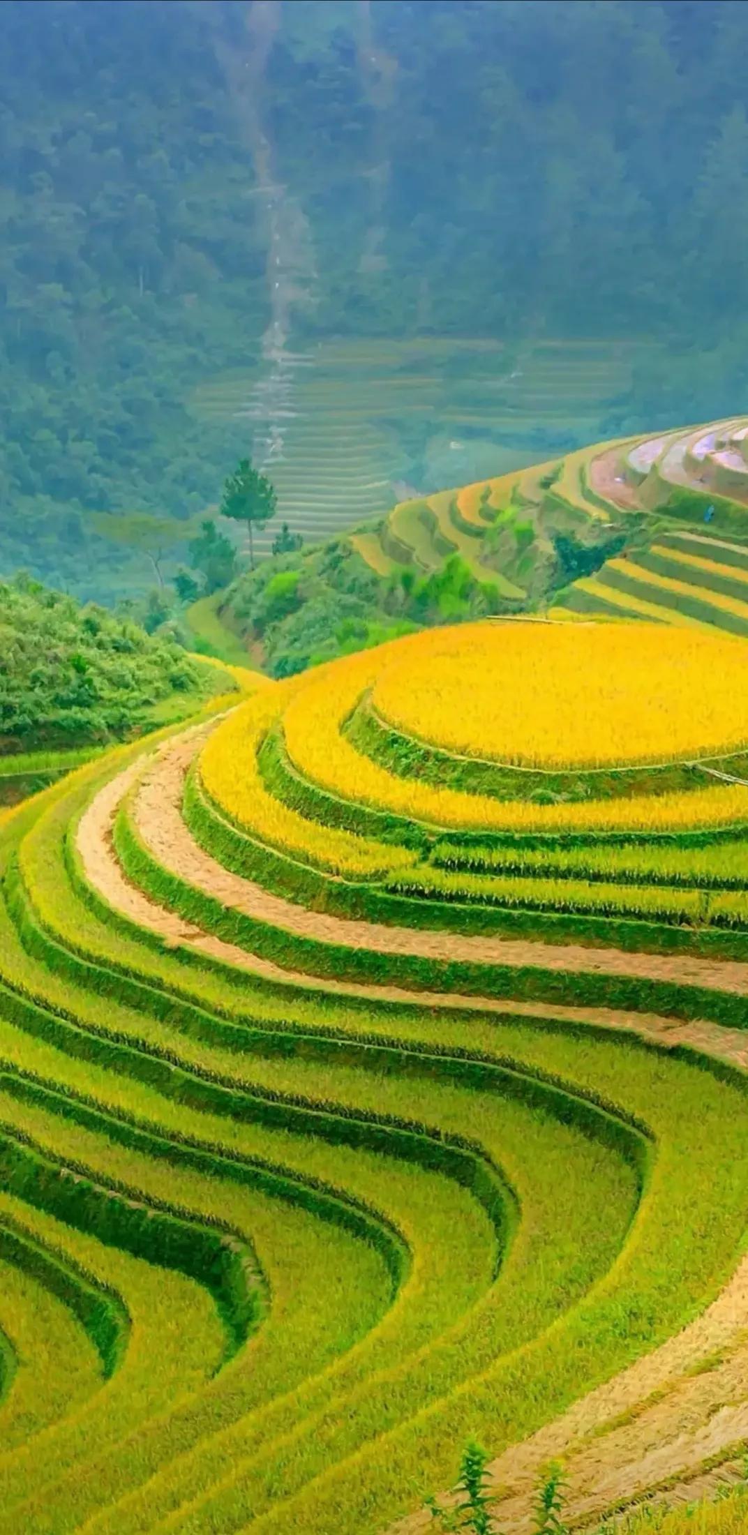 妈妈，我们总是把你藏在你的心里。