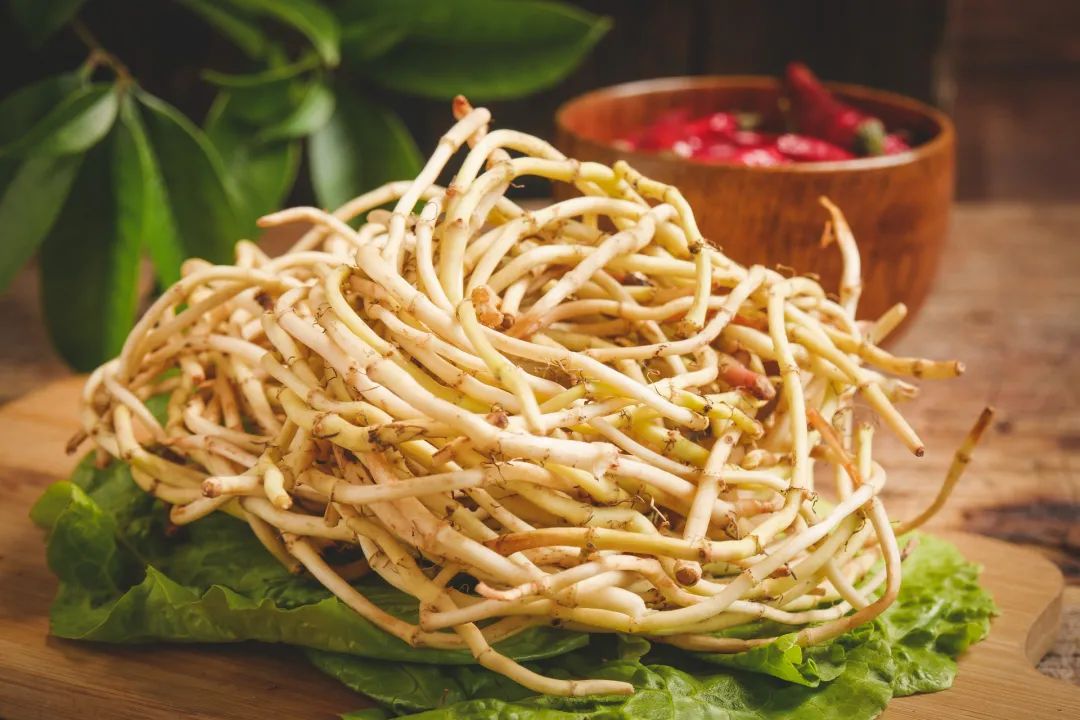 鱼腥草,竟然有人说它有毒,你敢吃吗?