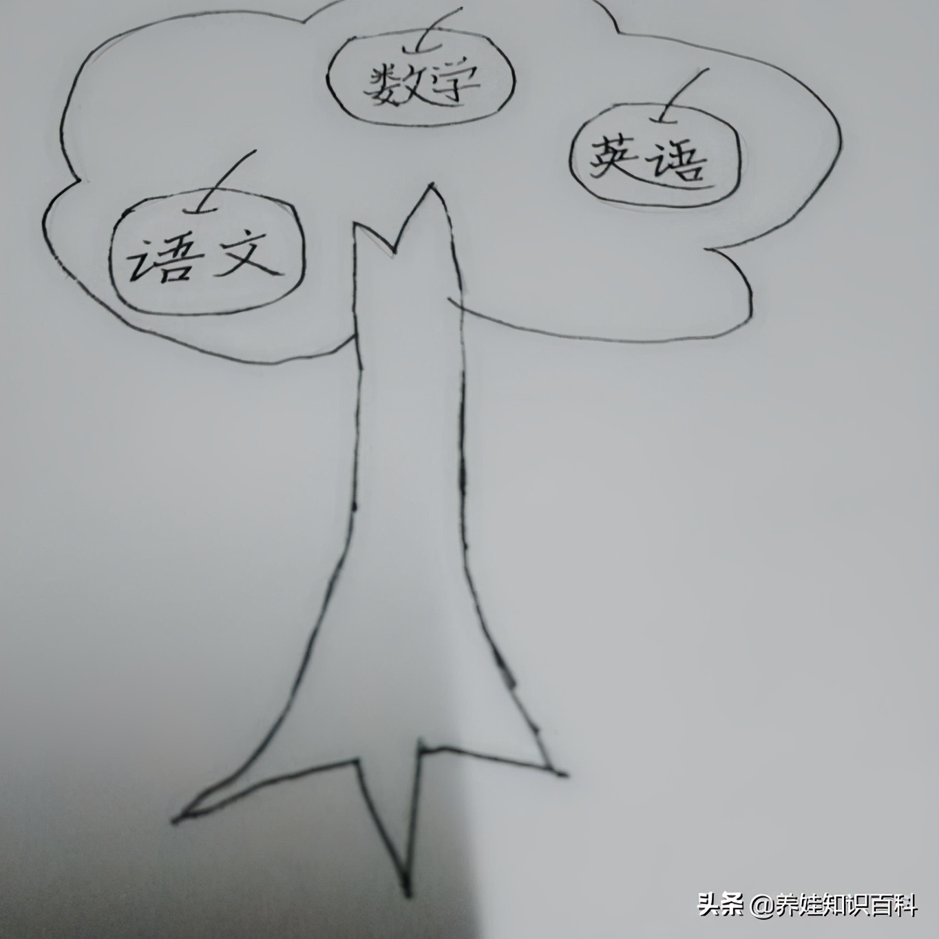 学生知识树画法教给你,让孩子自己动手画一棵吧)