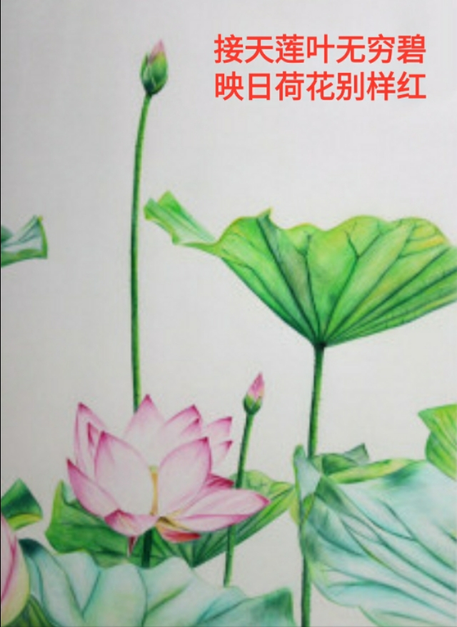那些古诗词里的大红大绿，过了千年，依旧惊艳如同初见