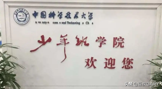 全国仅有的3所开设少年班的大学，2020年录取情况对比