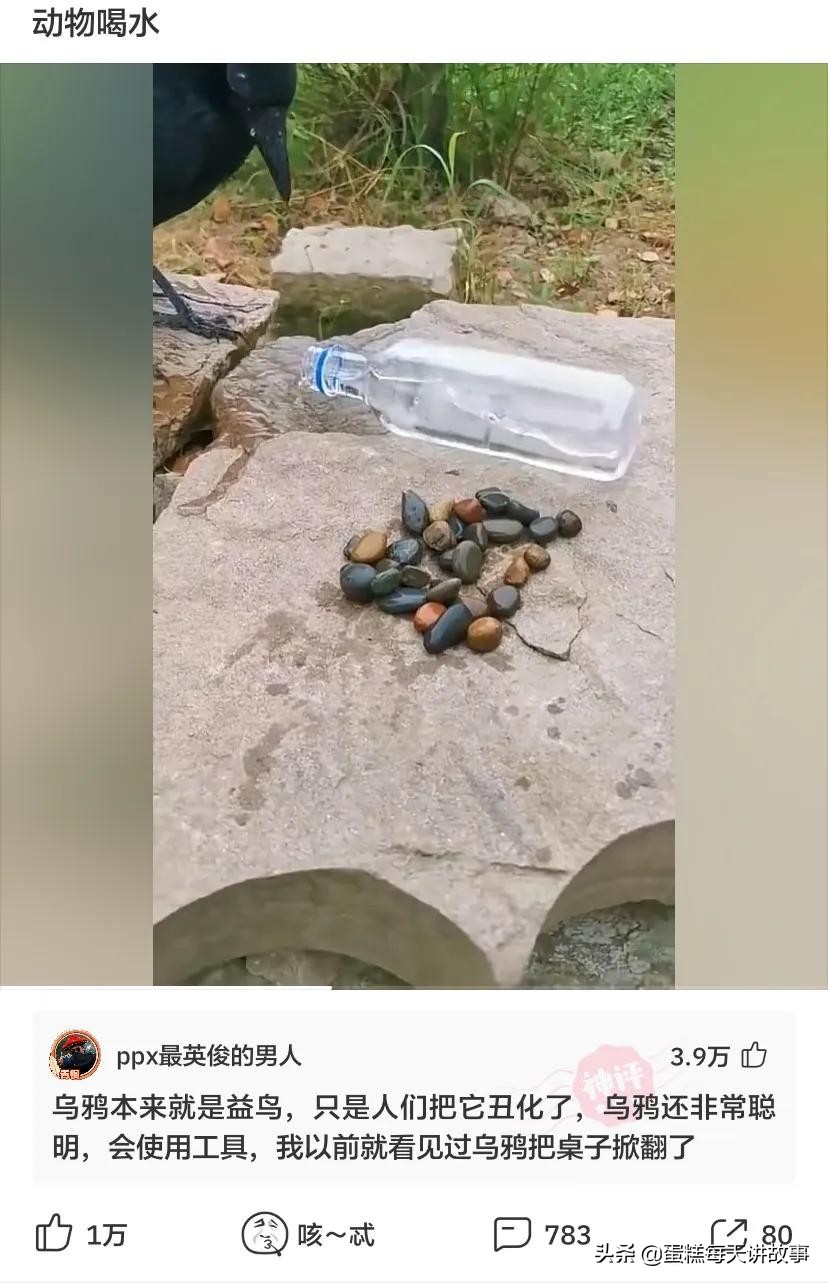 神回复：能和警察说我的律师马上就到的人，一般是什么档次的？