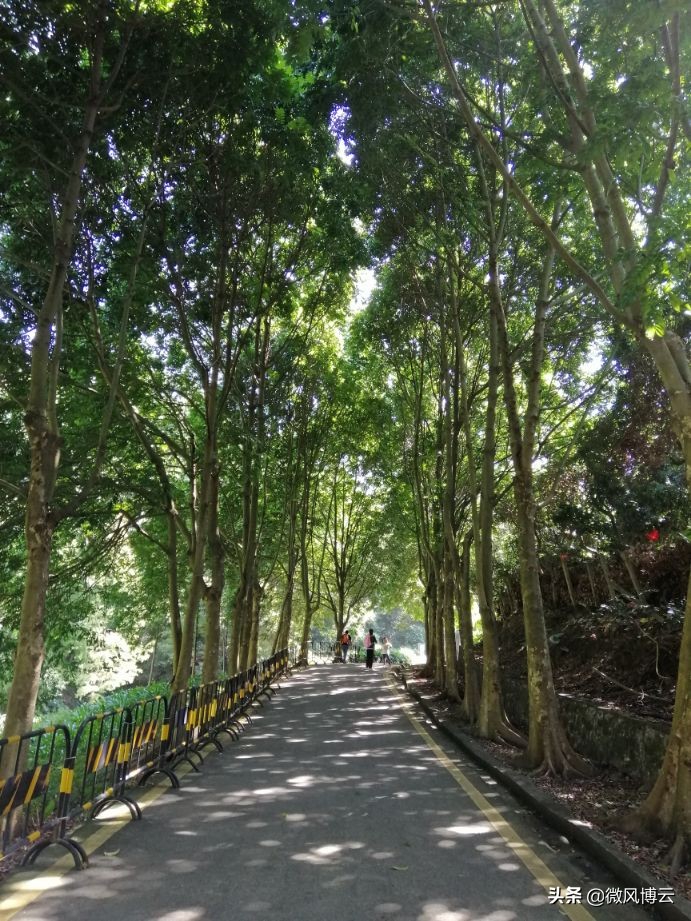 深圳鳳凰山攻略深圳鳳凰山景點介紹