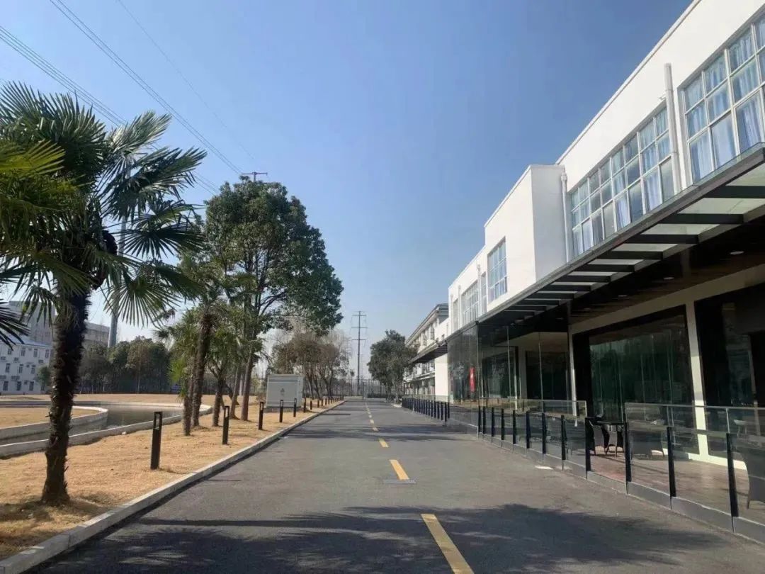 150+国际化学校联合招生！上海家长抽空也要去