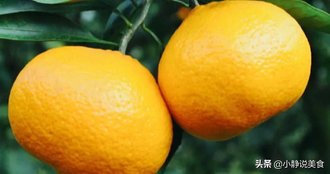 橘皮(橘子全身是个宝，橘皮搭配生姜没想到作用这么厉害，省钱又实用)