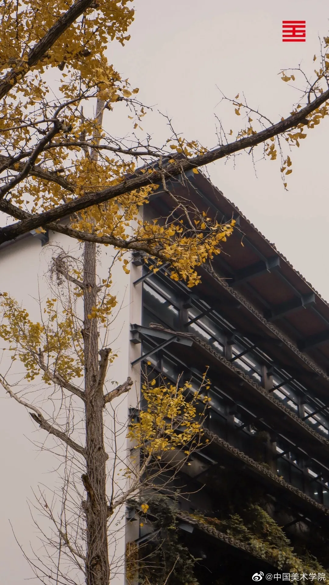 艺考资讯 | 九大美院的校园景色battle，也是神仙打架