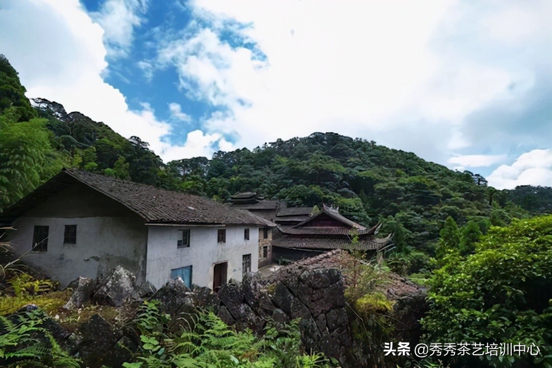 秀秀茶艺培训中心2021年10月3日开课通知