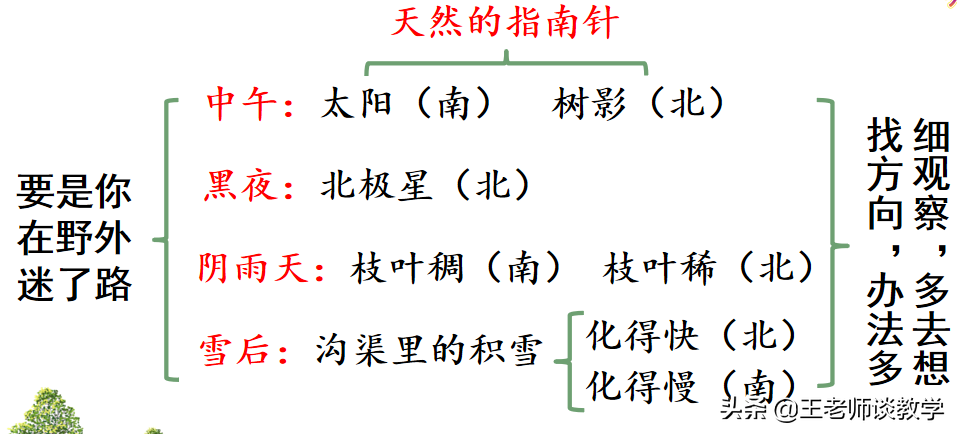 如果你在野外迷了路(二年级语文下册《要是你在野外迷了路》学案 练习题，快收藏吧！)