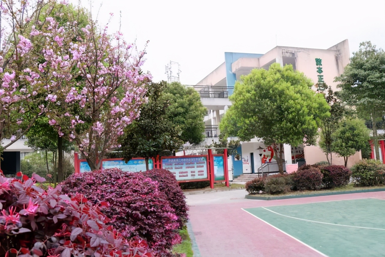 小学生优秀作文赏析：《春天的校园》三篇