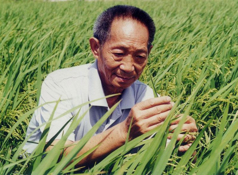 都有哪些人(如果要评选新中国十大科学家，都有哪些人能入选？)