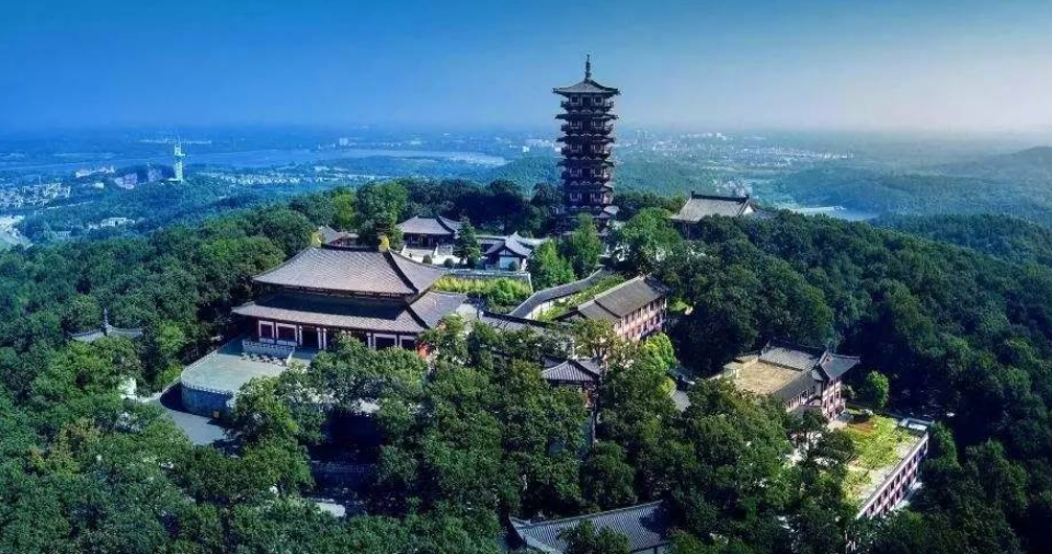 腾讯“元老”魏震：赚够钱后辞职，携妻儿退隐山林，每日喝茶种地