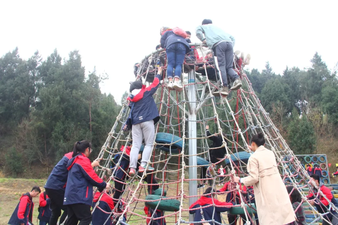 市外招收学生120人！绵阳外国语学校2020年高中招生公告出炉