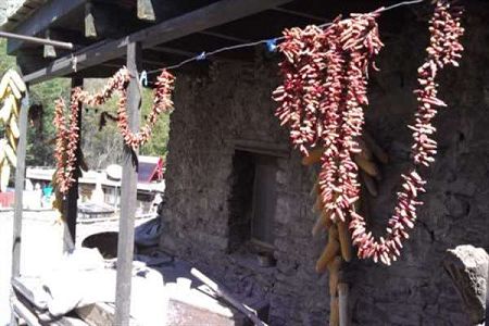 广州比较好的专科有哪些？见广州专科批分数线详表