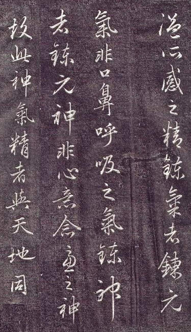 赵孟頫行书《金丹四百字》