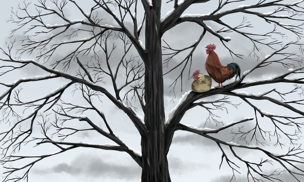 6 首小雪节气唯美古诗词 | 小雪已晴芦叶暗，长波乍急鹤声嘶