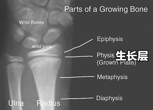 “双增”政策来了，体育类课外培训怎么选择？篮球怎么样？