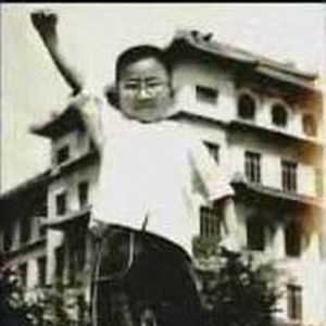五行属火-歌手汪峰