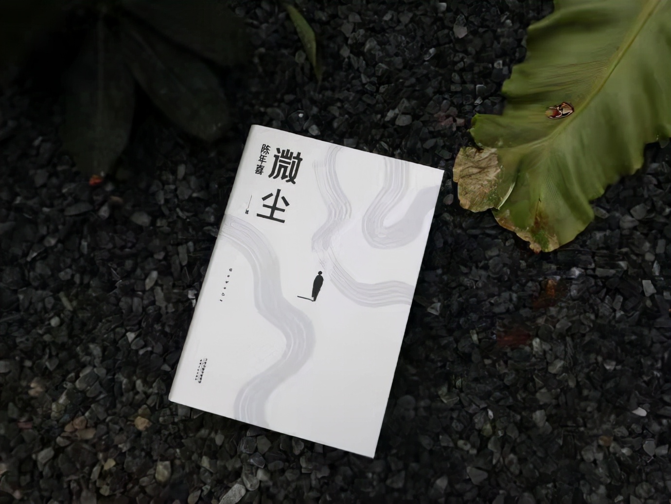 生命如微尘，虽微小，但自有它伟大之处
