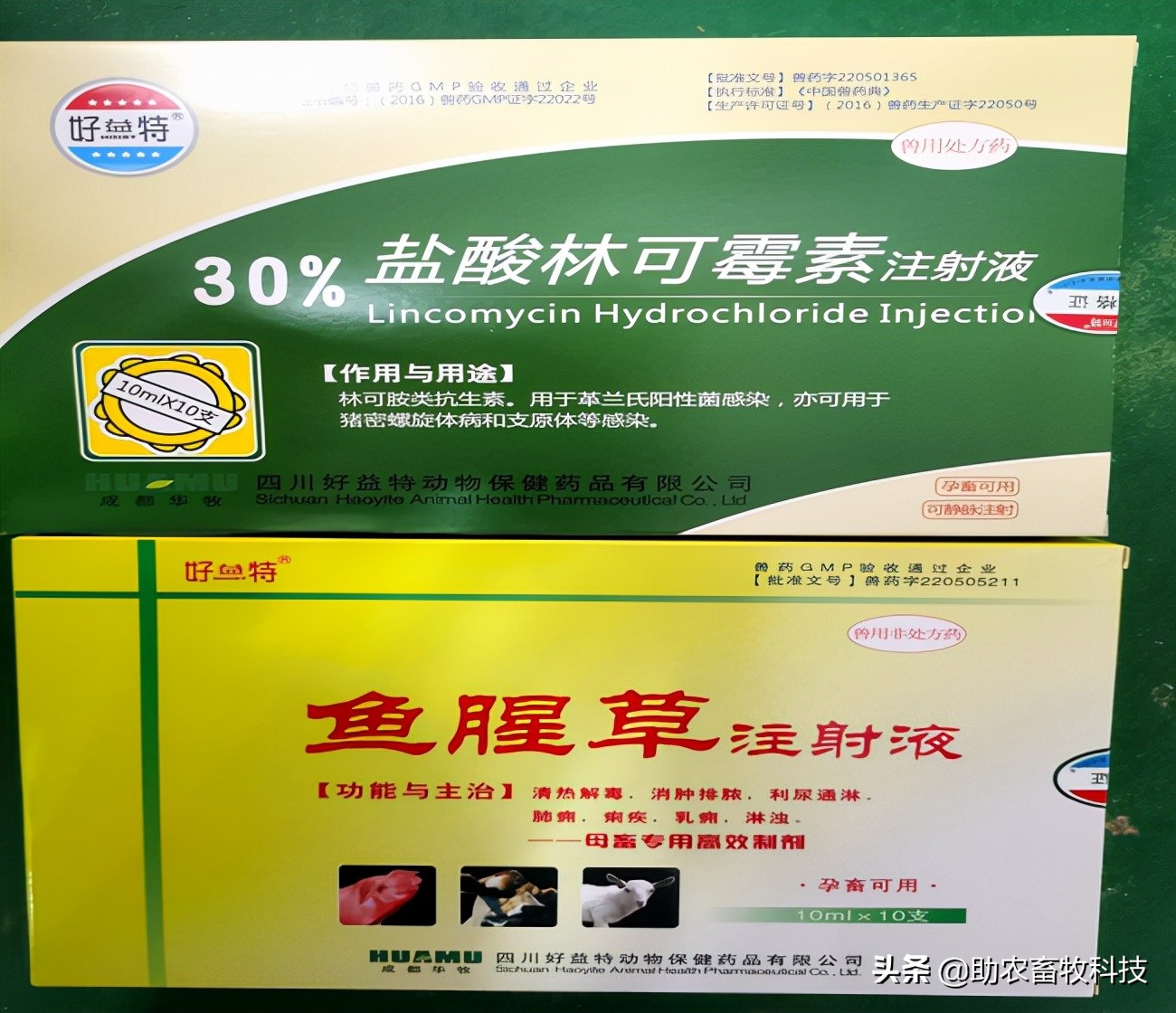 猪场10种常见疾病的症状以及用药防治方案