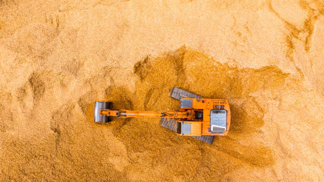 把三个女儿弄去坐牢后，蓝翔校长再送原配入狱，这次被反杀了