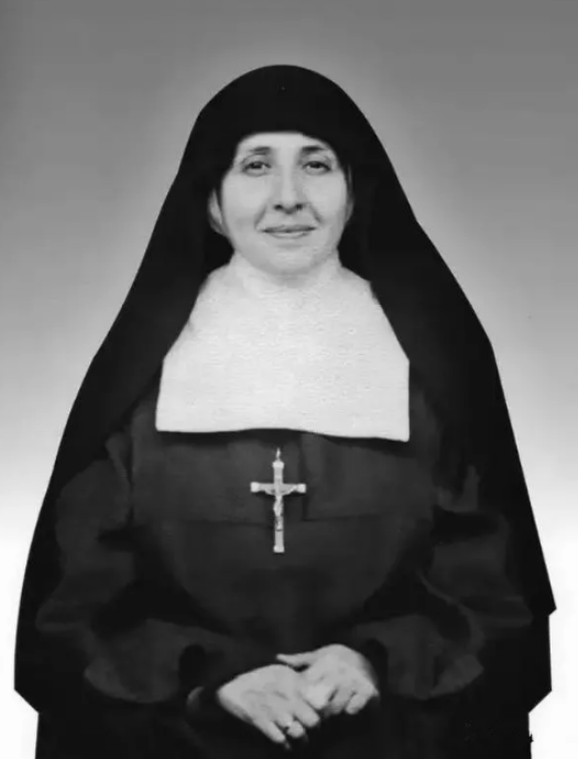 他被教皇颁过奖(特蕾莎修女:让垂死之人有尊严地死去,受世人尊敬的