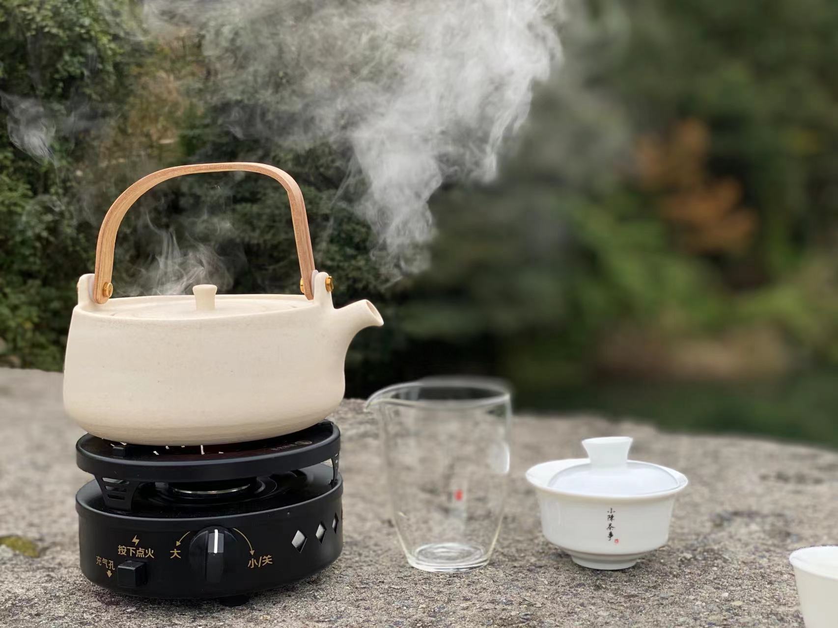 小雪天，带你看清煮茶与蒸茶的区别，来一杯好喝的老白茶暖身吧