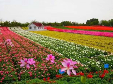 心理学：假如生命只剩一天，你想去哪？测你这辈子注定是什么命