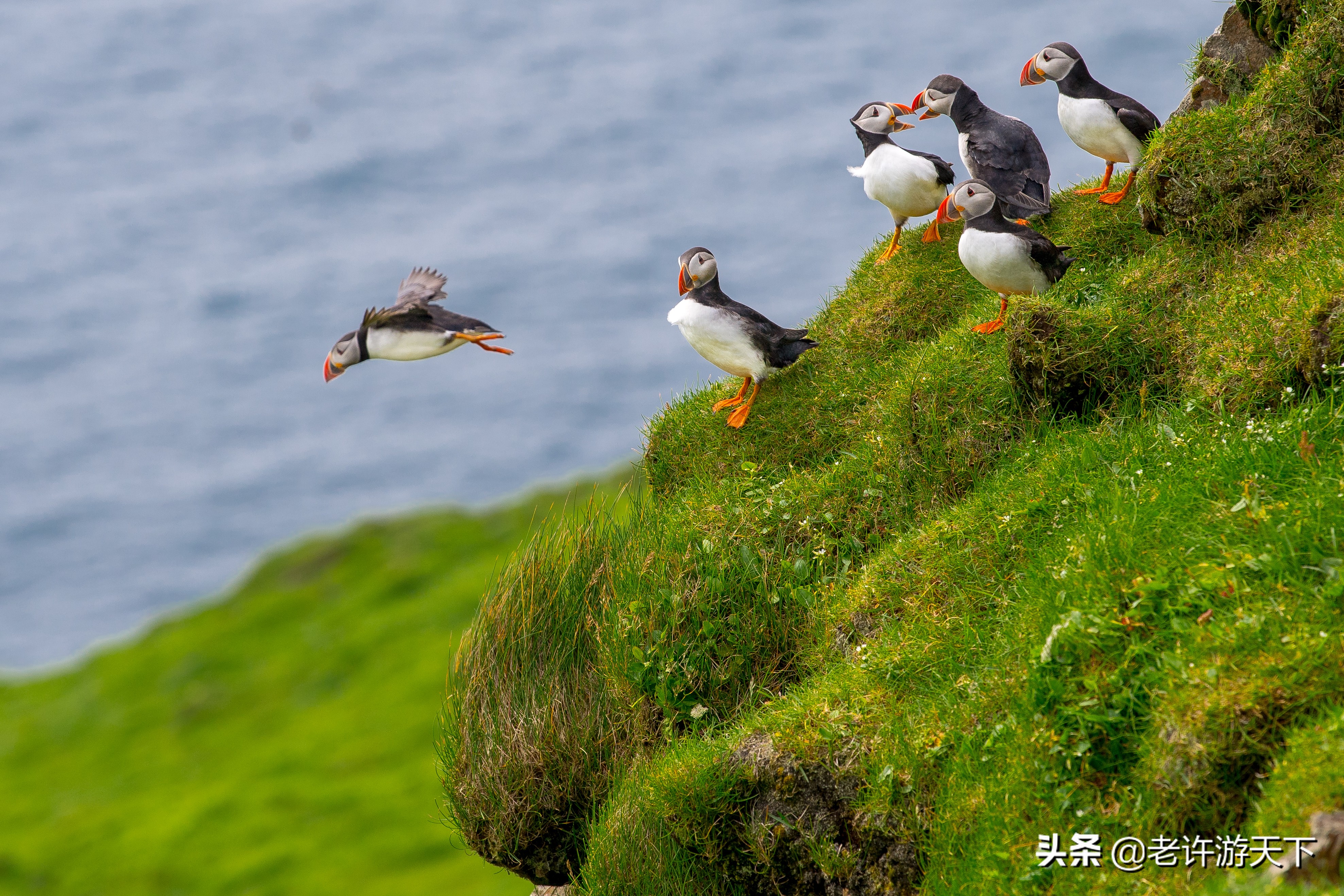 世界十大海岛旅游胜地（世界10个美丽海岛堪称度假胜地）