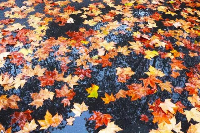 餐厅配备钢琴，三大校区美不胜收，还是西游记拍摄地！四川这所高校让人心动