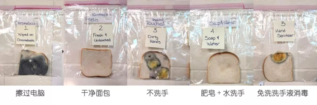 消之宝