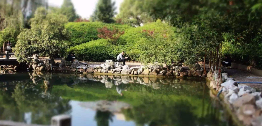 “十四五”期间，盐师如何升格“盐城师范大学”，实现蓬勃发展？