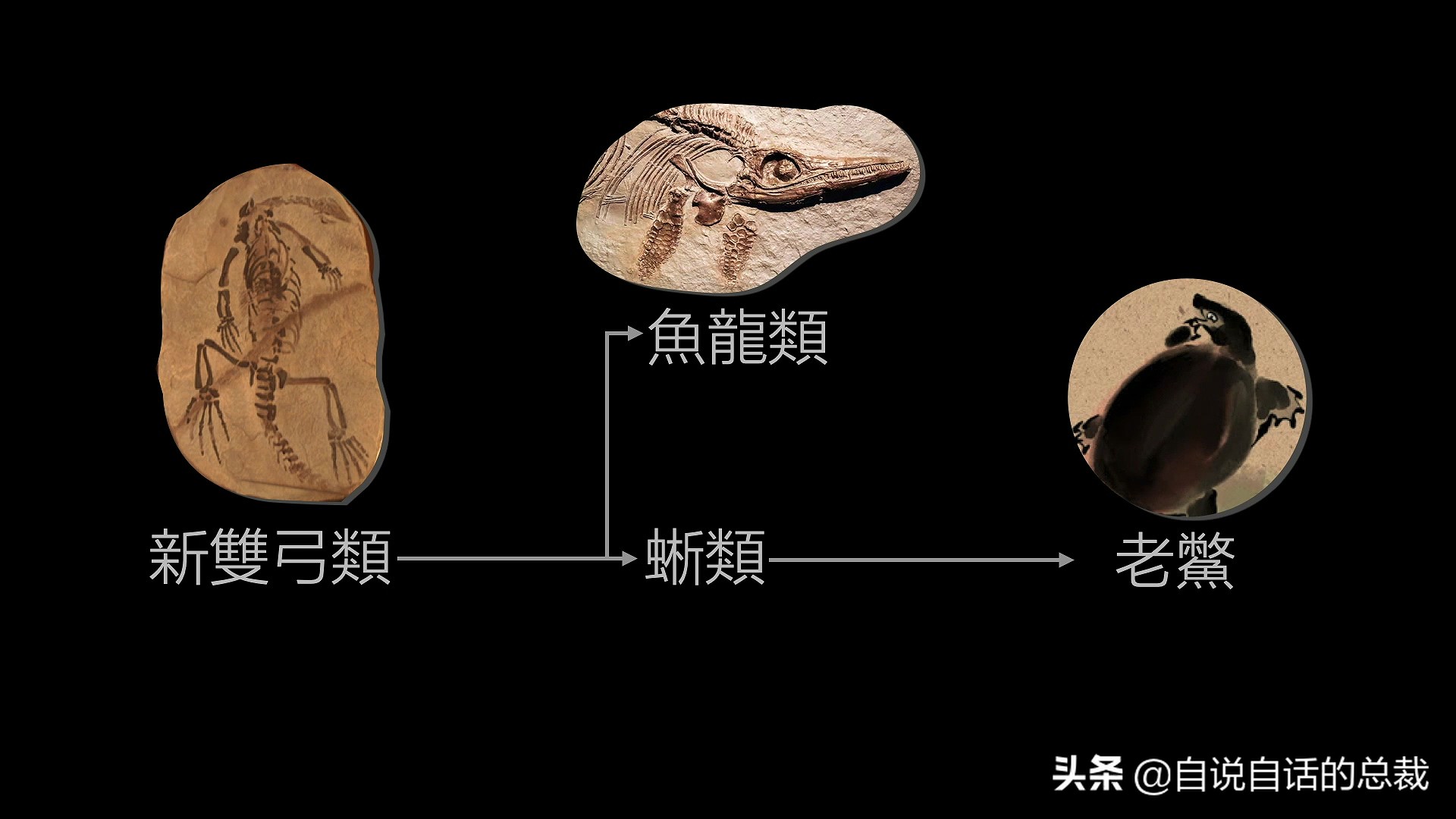 5种比巨齿鲨还恐怖的海怪，背后隐藏着一个人类起源的故事