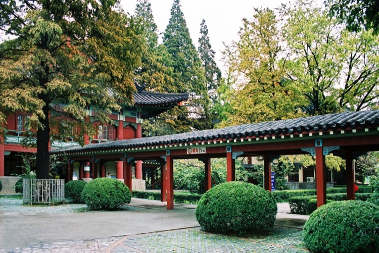 刘芳美术245分预估文化520分，能被南京师范大学录取吗？