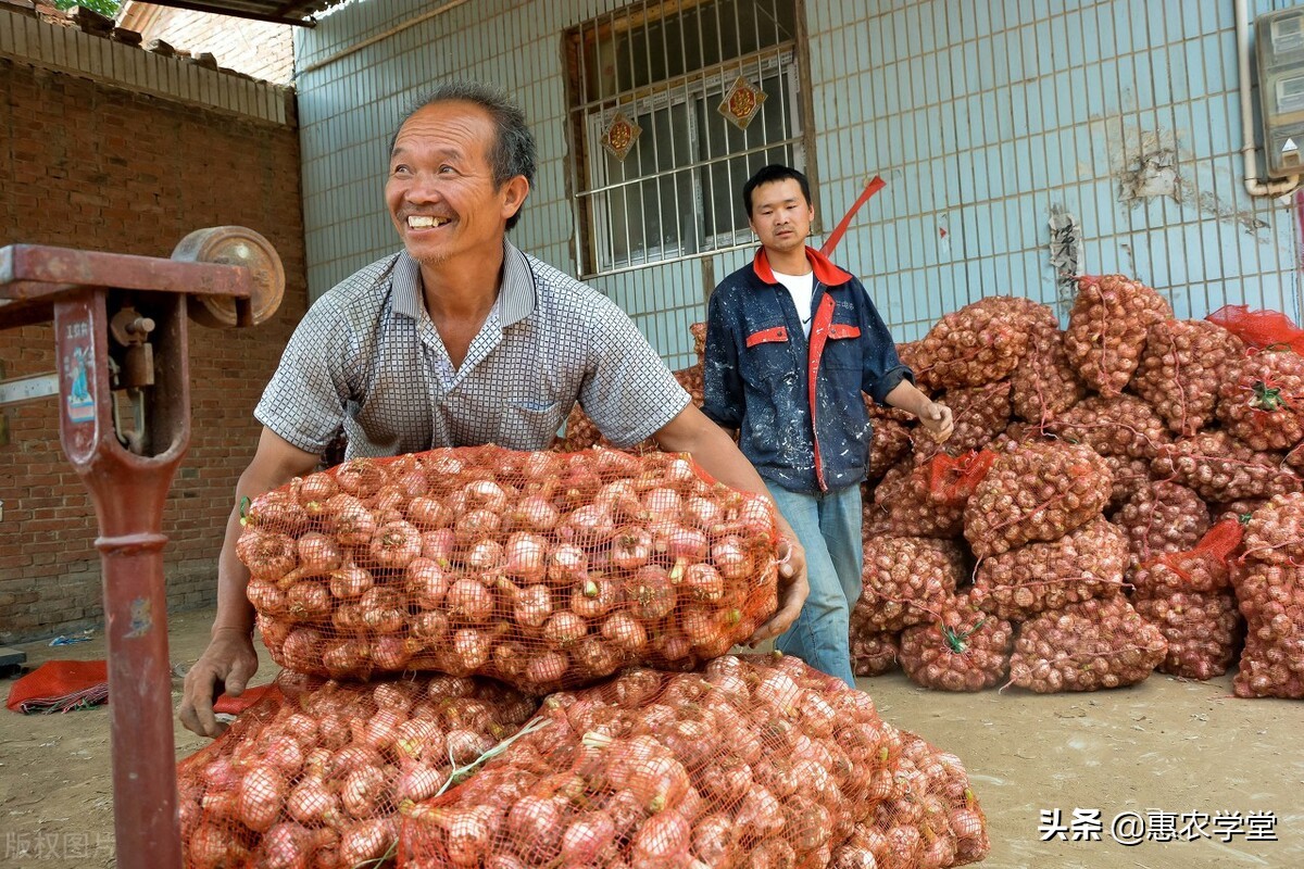 现在大蒜多少钱一斤？后期价格会上涨吗？2021下半年大蒜走势分析