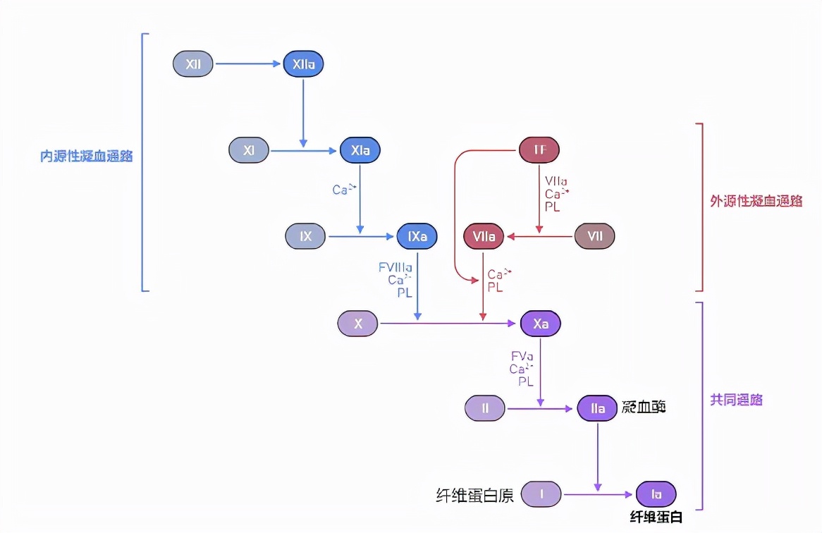 阿甲曲斑说明书(对于VTE风险很高的COVID-19危重患者，为何肝素抗凝治疗效果不佳)