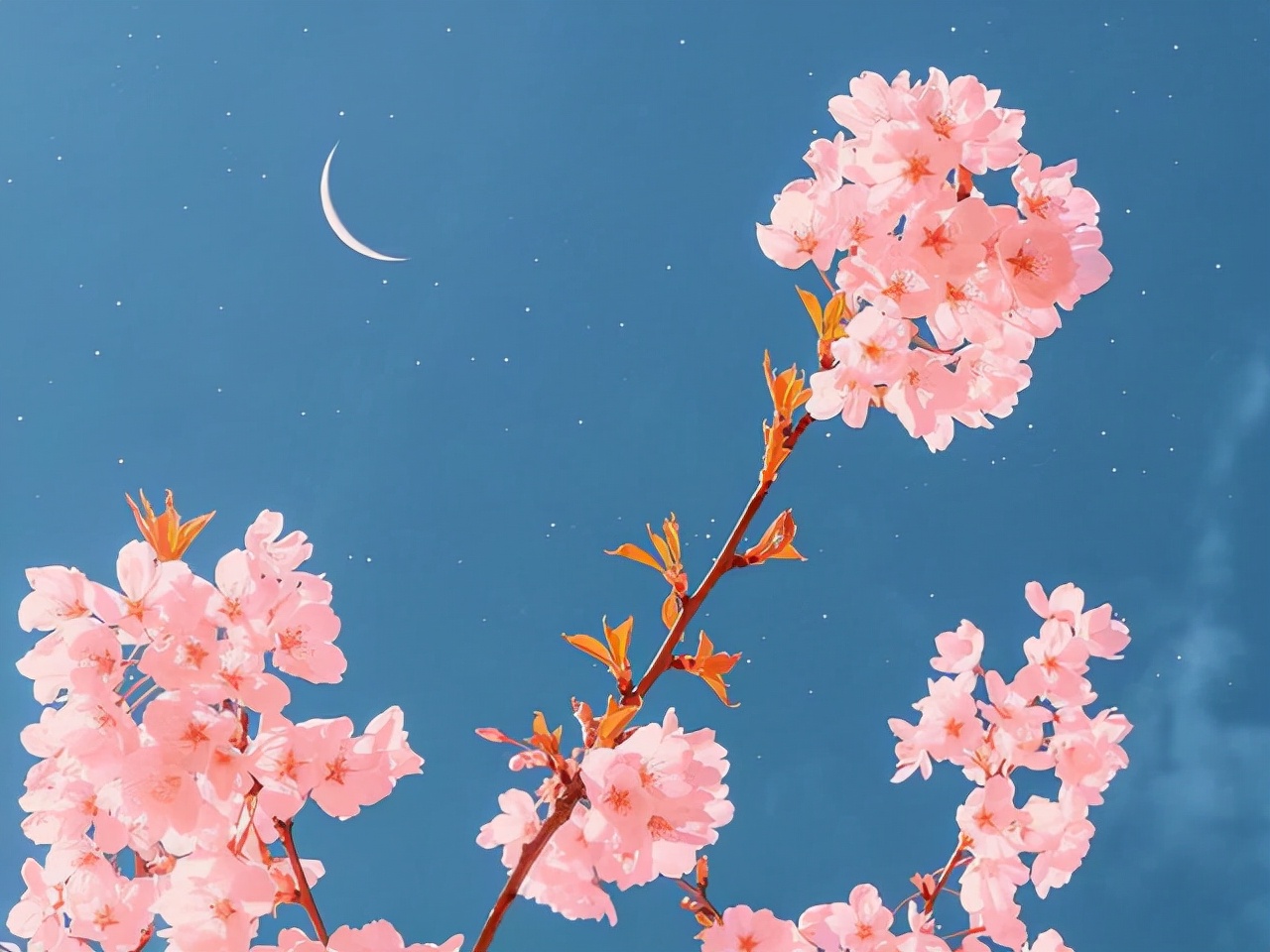 人生百味，随缘，随心，随意（感悟）